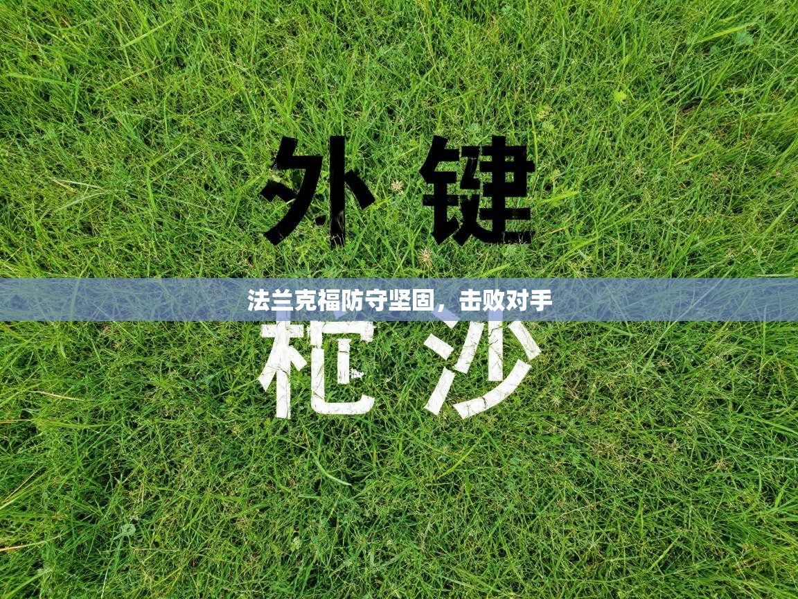 法兰克福防守坚固,击败对手 第1张