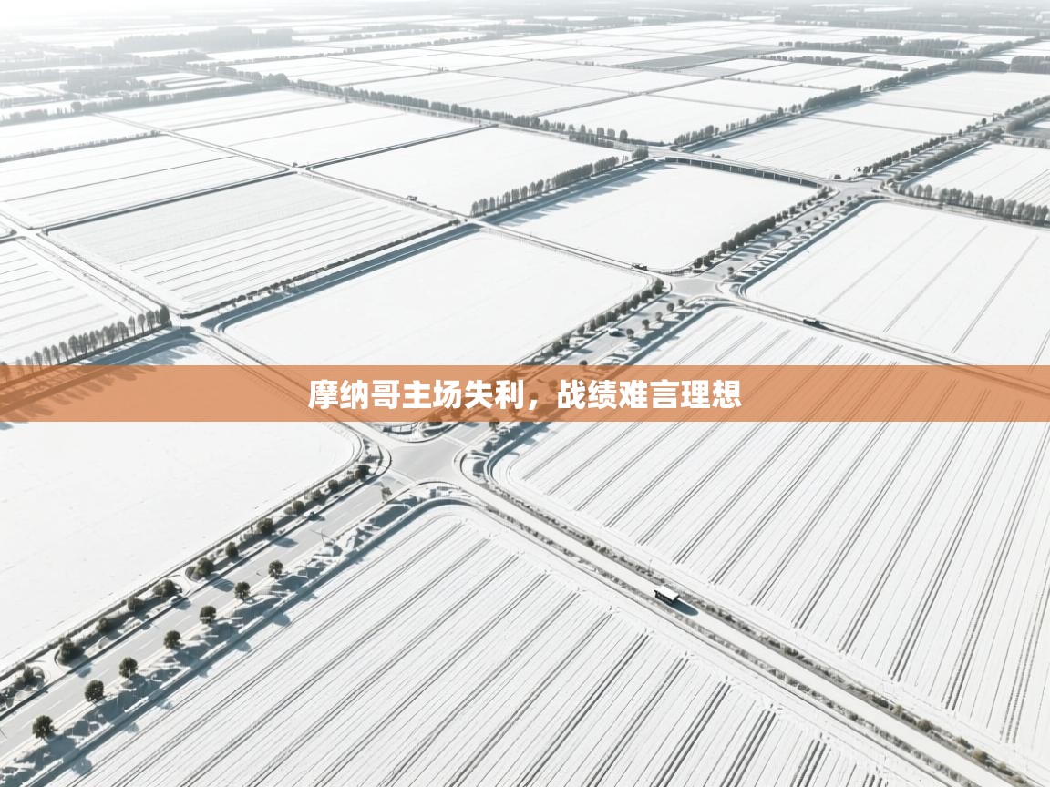 摩纳哥主场失利,战绩难言理想 第1张